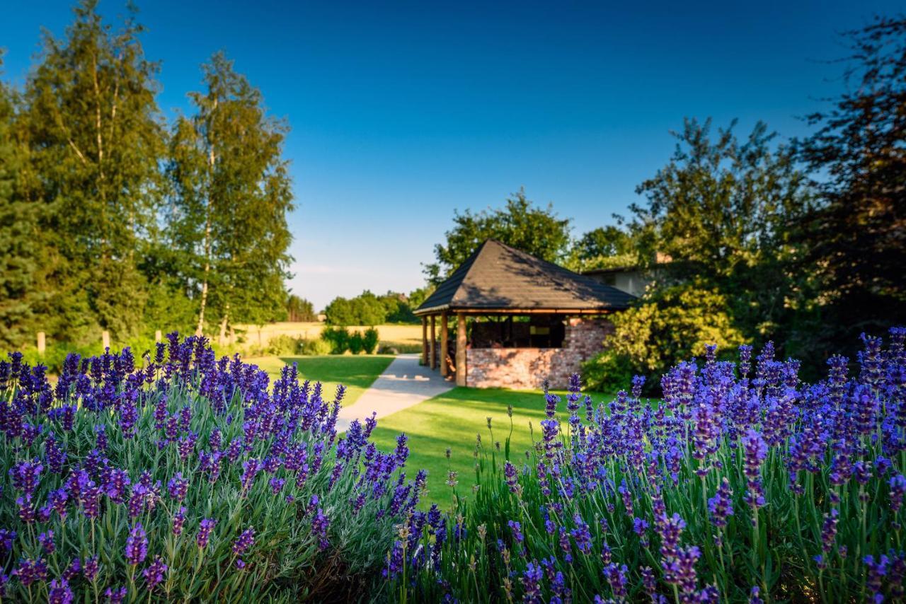 Villa Natura Zator Przeciszow Bagian luar foto