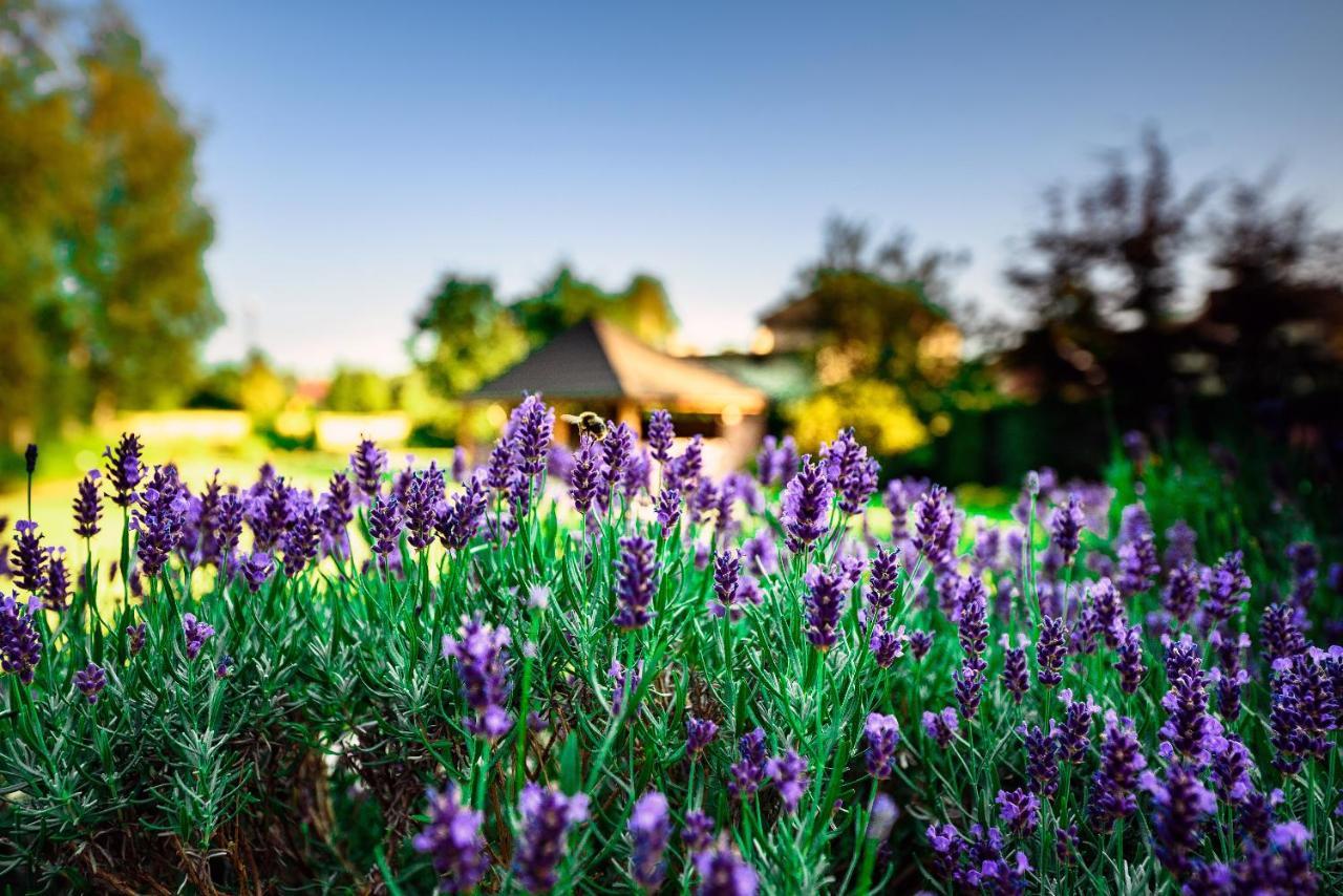 Villa Natura Zator Przeciszow Bagian luar foto